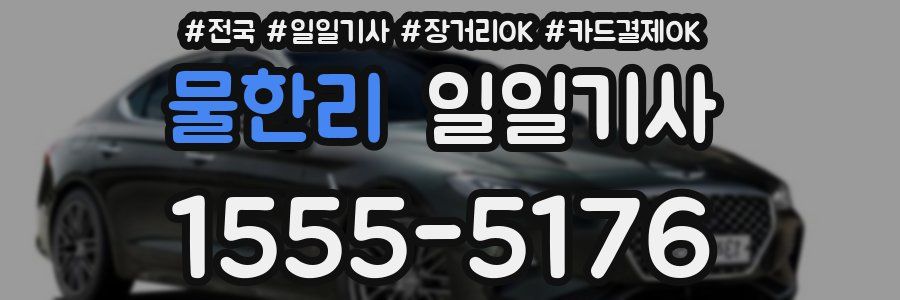 물한리 일일기사