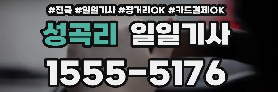 성곡리 일일기사