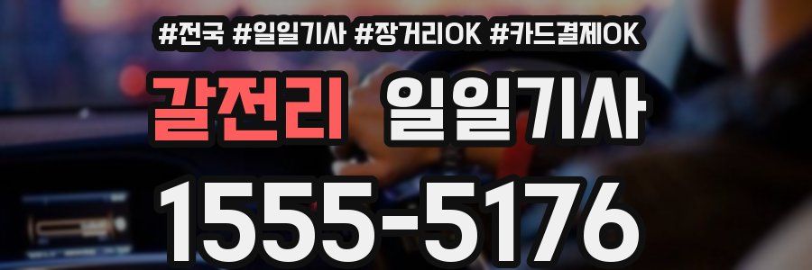 갈전리 일일기사