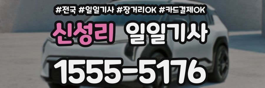 신성리 일일기사