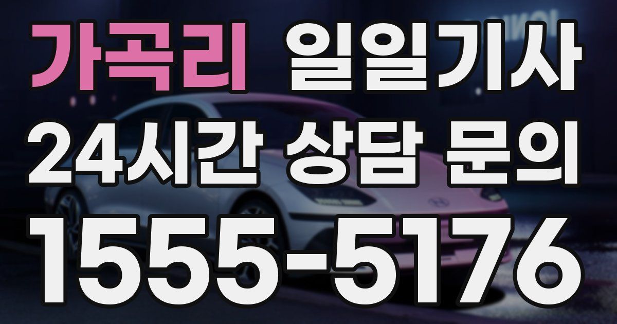 일일대리기사