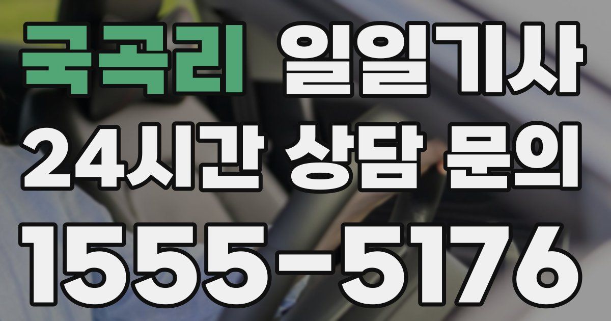 일일대리기사