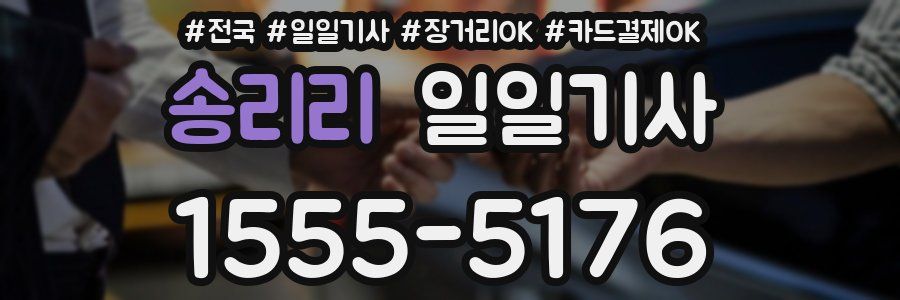 송리리 일일기사