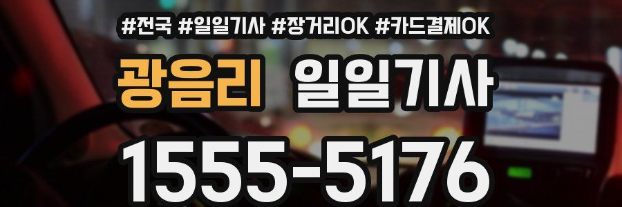 광음리 일일기사