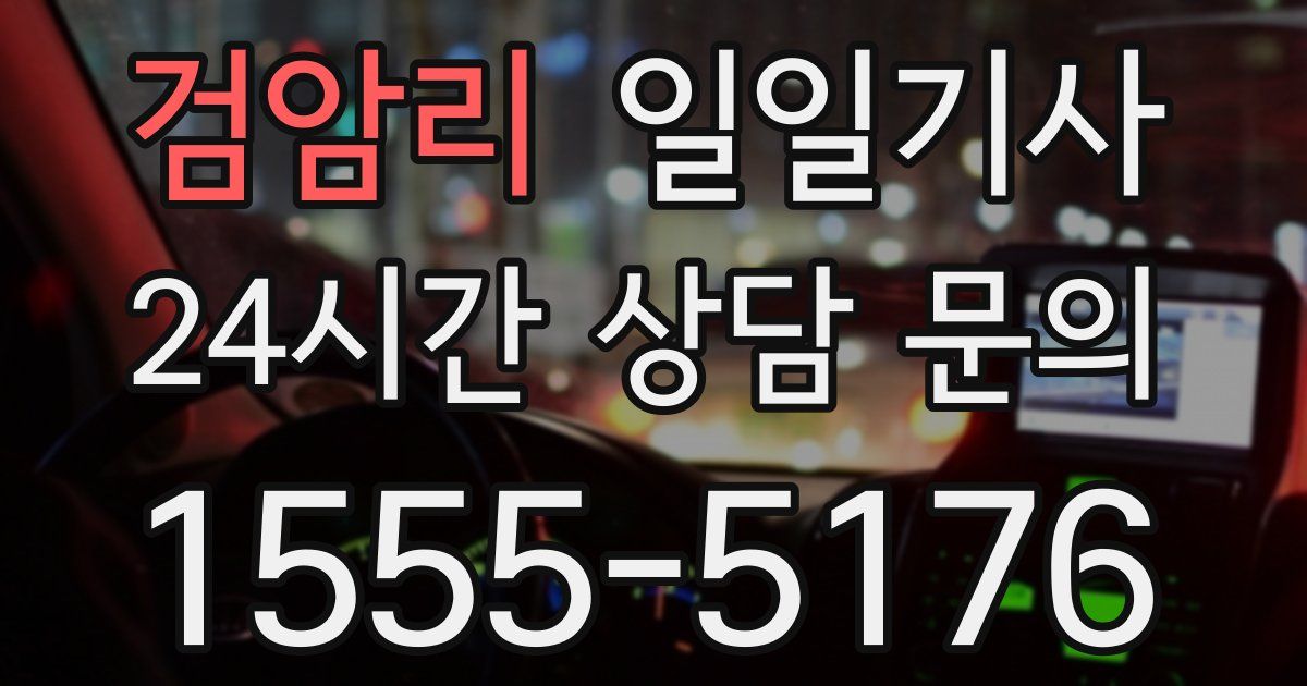 일일대리기사