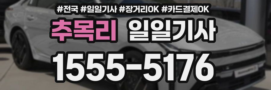 추목리 일일기사