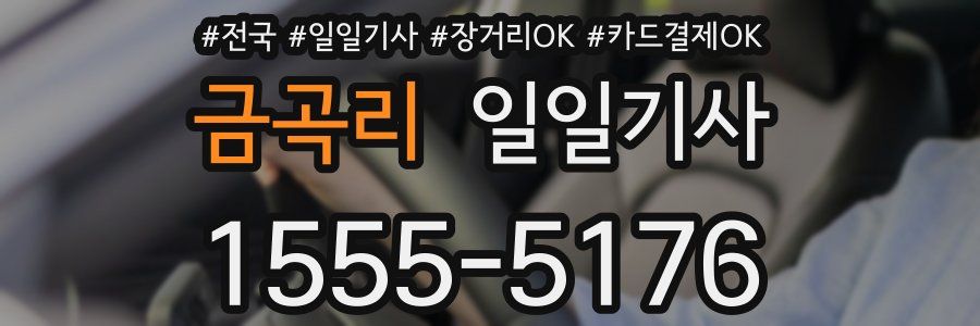 금곡리 일일기사