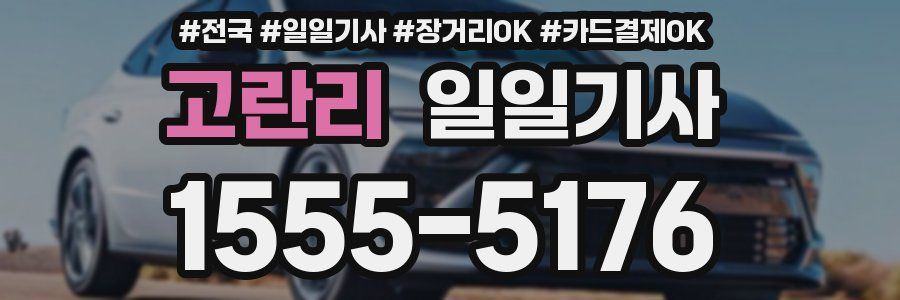 고란리 일일기사