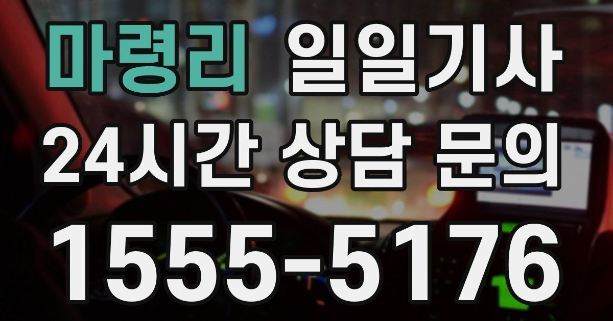 일일대리기사