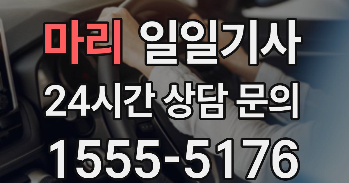 일일대리기사