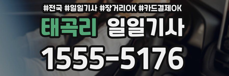태곡리 일일기사