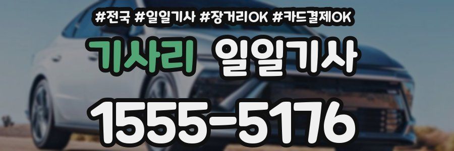 기사리 일일기사