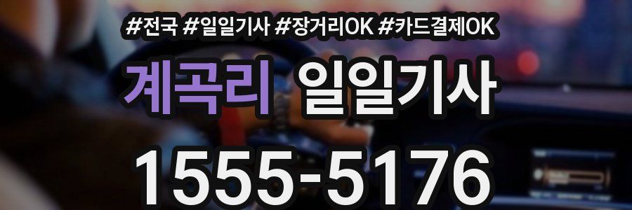 계곡리 일일기사