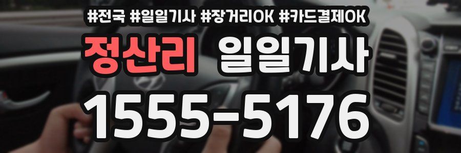 정산리 일일기사