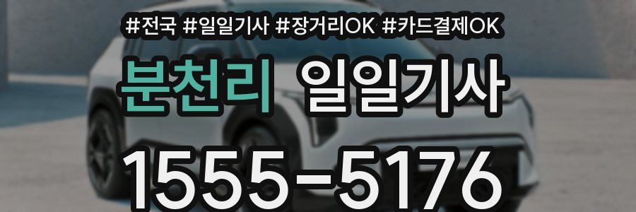 분천리 일일기사