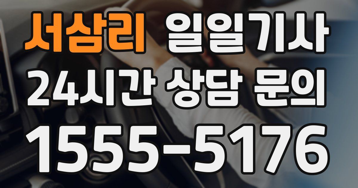 일일대리기사
