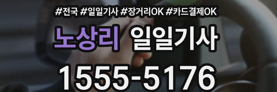 노상리 일일기사