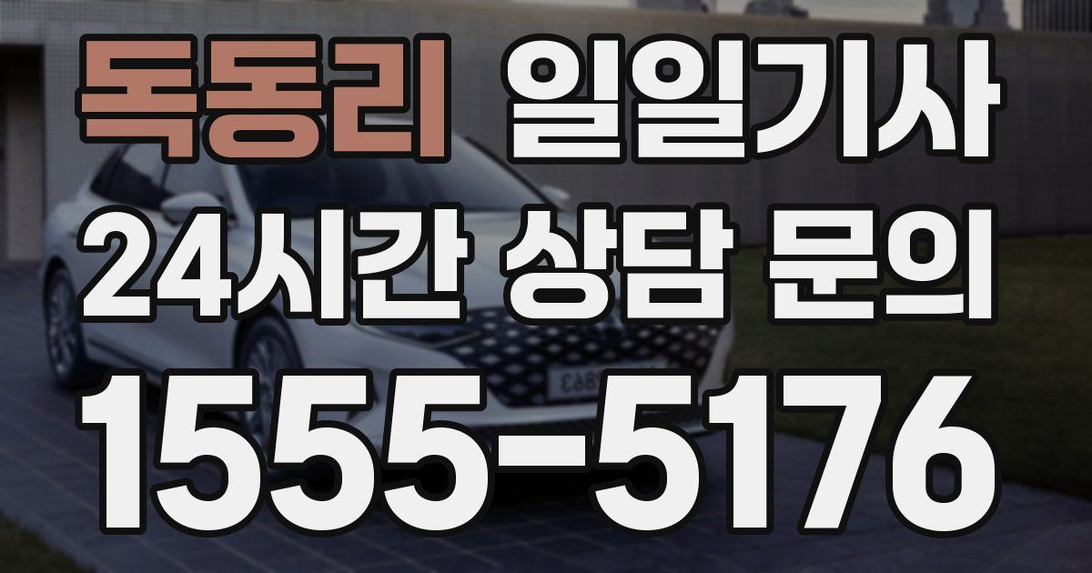 일일대리기사