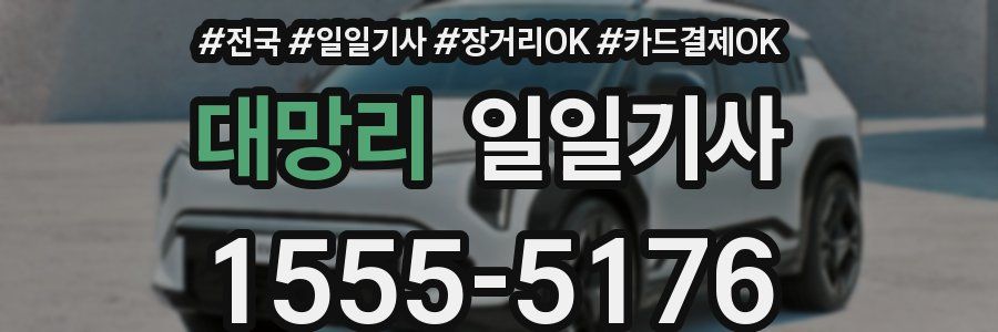 대망리 일일기사
