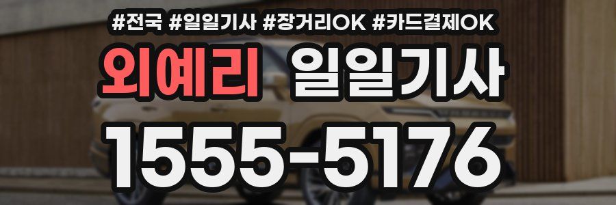 외예리 일일기사