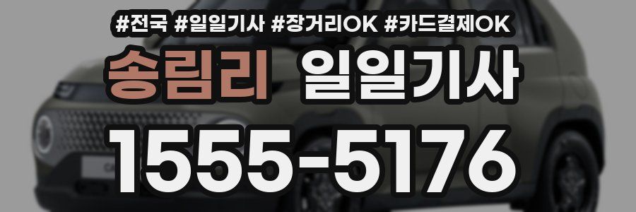 송림리 일일기사