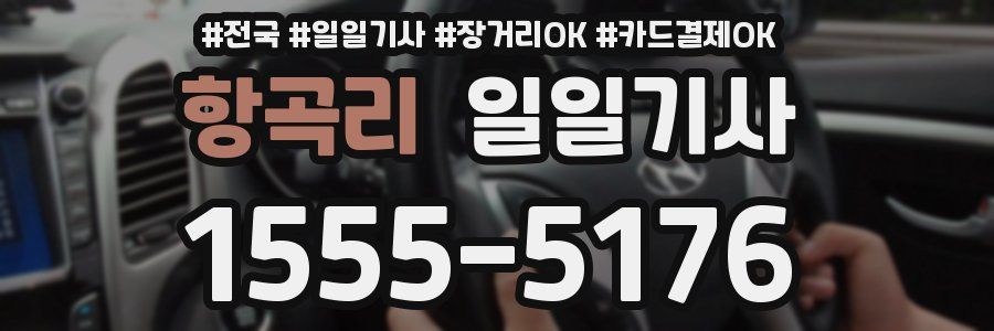 항곡리 일일기사