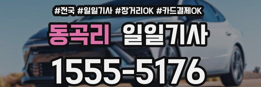 동곡리 일일기사