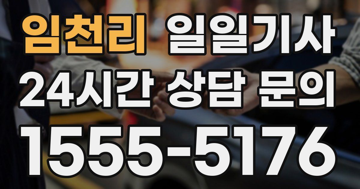 일일대리기사