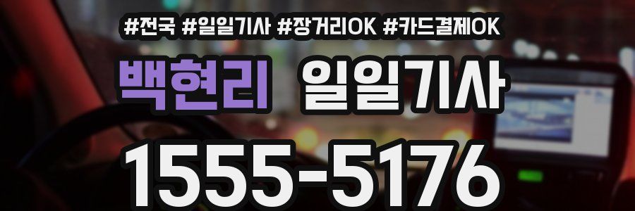 백현리 일일기사