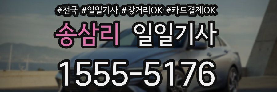 송삼리 일일기사