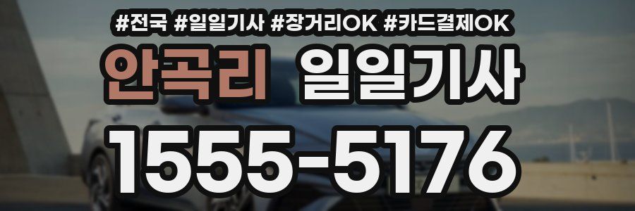 안곡리 일일기사