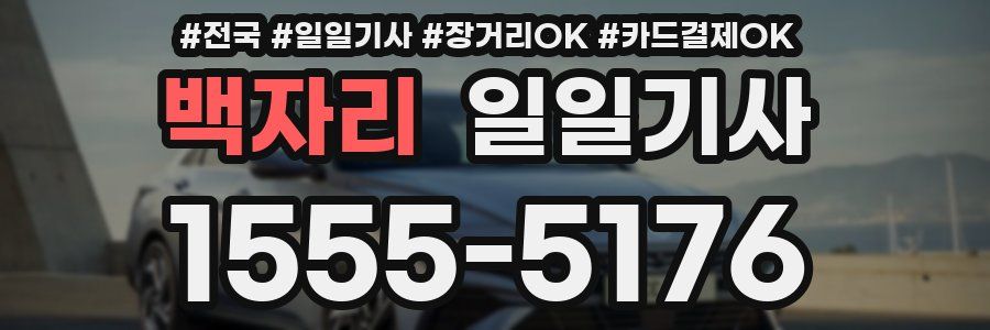 백자리 일일기사