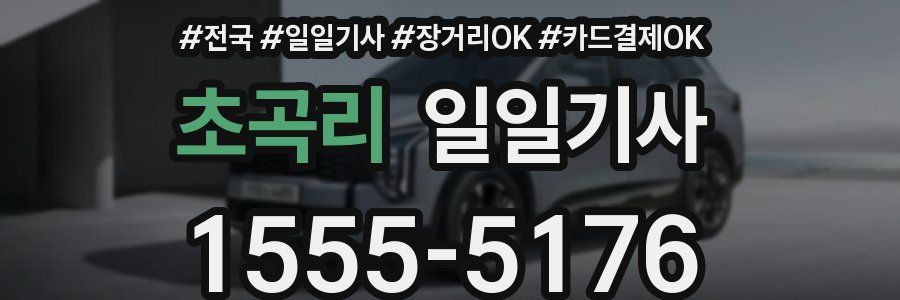 초곡리 일일기사