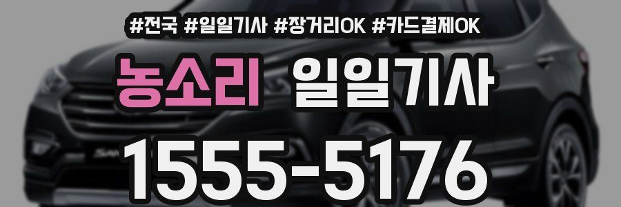 농소리 일일기사