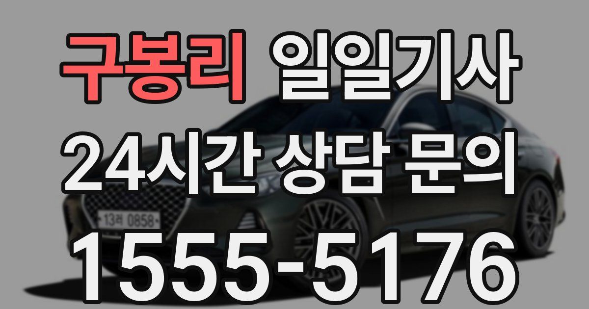 일일대리기사
