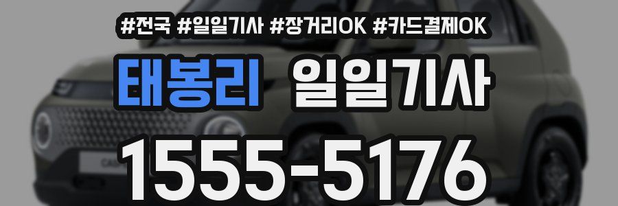 태봉리 일일기사