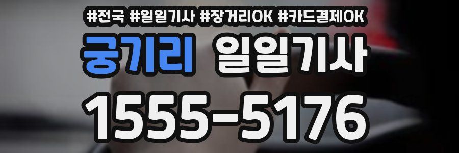 궁기리 일일기사