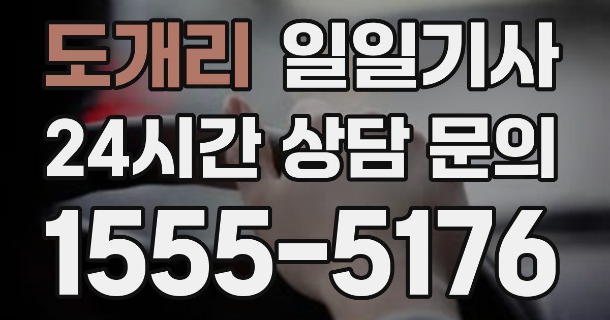 일일대리기사