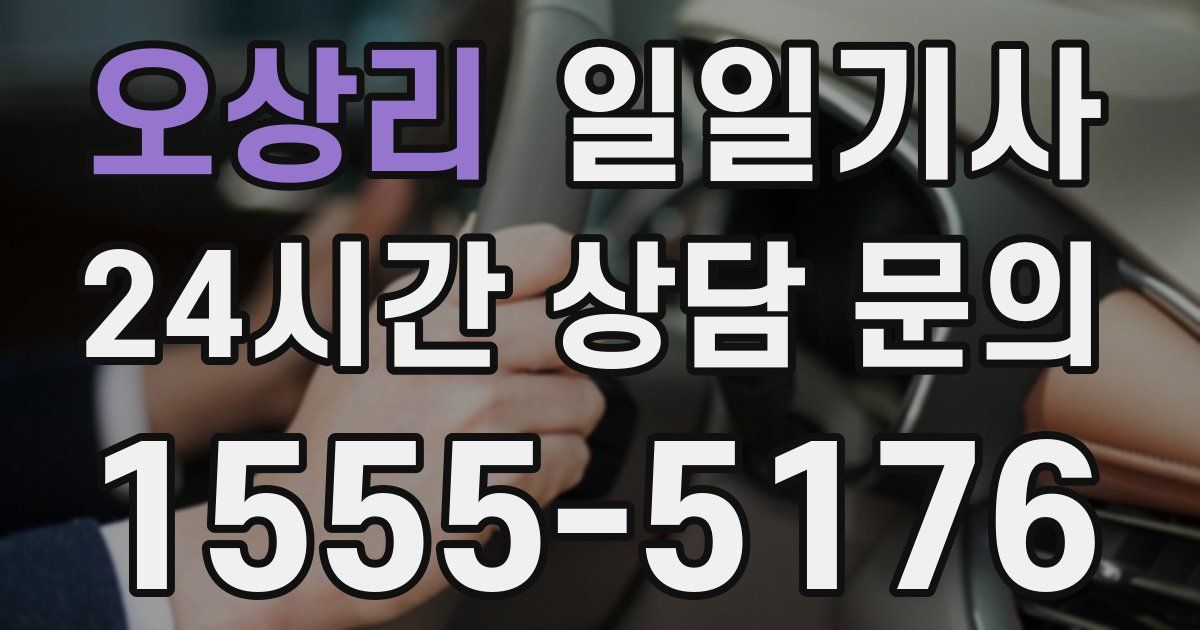 일일대리기사