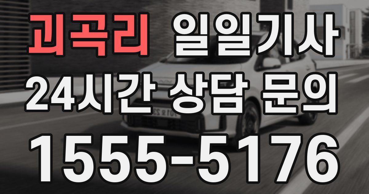 일일대리기사