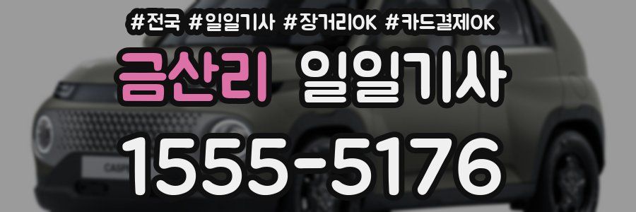 금산리 일일기사