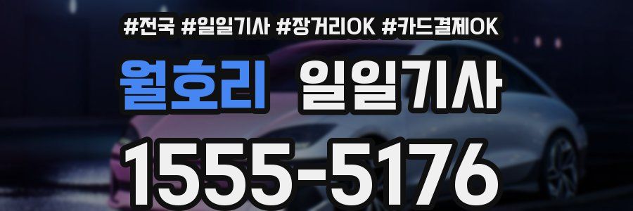 월호리 일일기사