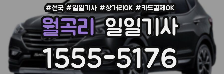 월곡리 일일기사