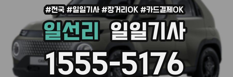 일선리 일일기사