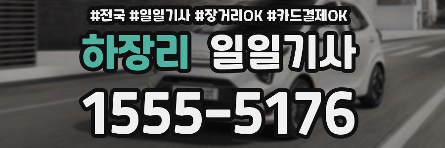 하장리 일일기사