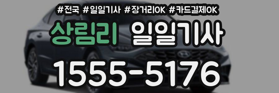 상림리 일일기사