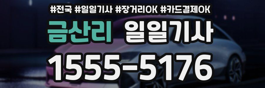 금산리 일일기사