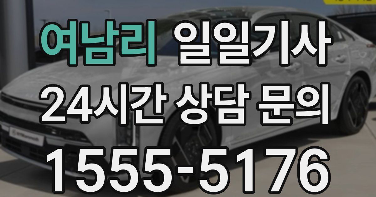 일일대리기사