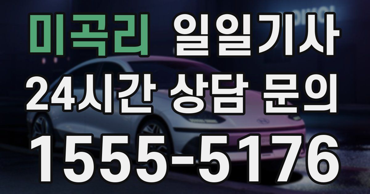 일일대리기사
