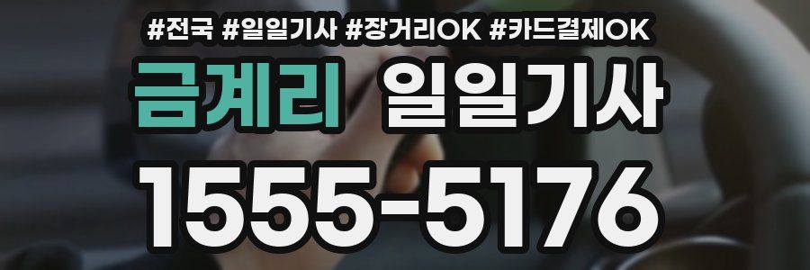 금계리 일일기사